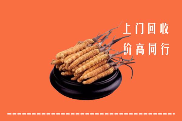 高价求购：锦州回收散虫草