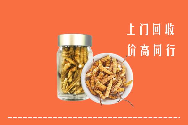 锦州回收冬虫夏草