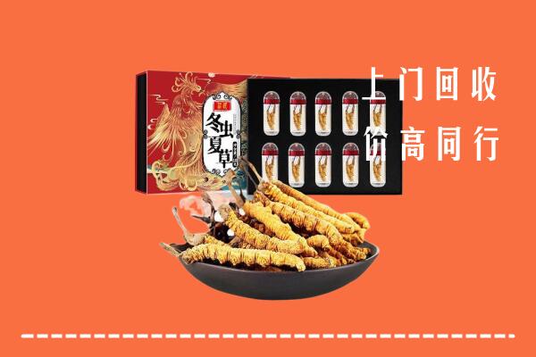 锦州回收虫草
